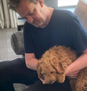 Matthew Perry Instagram - This is me and @alfreddoodleperry. Who's cuter? Don't answer that.