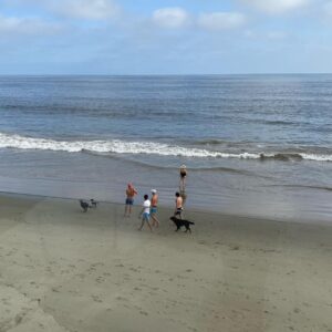 Matthew Perry Instagram - This is the scene from my patio. No masks, one foot apart. This is the thing that makes want to scream. Until I remember that i have a kick ass Malibu house.