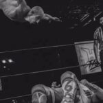 Matthew Rehwoldt Instagram - Still got a move or 3… 📸 @iamdannydarko @hogwrestling - NYC