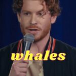 Matty Ryan Instagram – Magnificent creatures
.
.
.
#comedy #standupcomedy #standup #reels #reelsinstagram #whales #ocean #whalesofinstagram