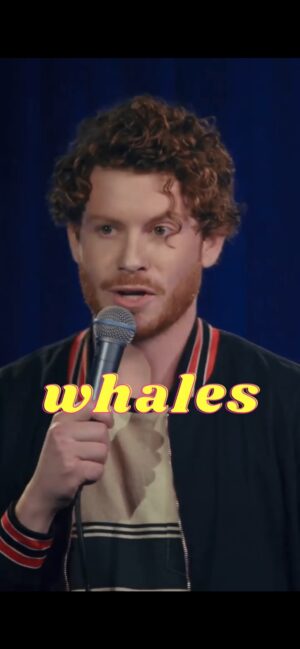 Matty Ryan Instagram - Magnificent creatures
.
.
.
#comedy #standupcomedy #standup #reels #reelsinstagram #whales #ocean #whalesofinstagram