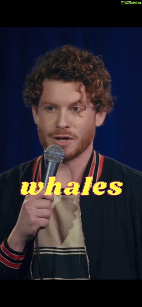 Matty Ryan Instagram - Magnificent creatures . . . #comedy #standupcomedy #standup #reels #reelsinstagram #whales #ocean #whalesofinstagram