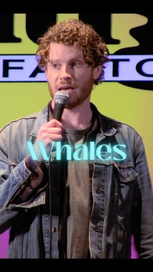Matty Ryan Instagram - Are whales okay 
.
.
.
#comedy #reels #reelsinstagram #standup #instagood #funny #standupcomedy #joke