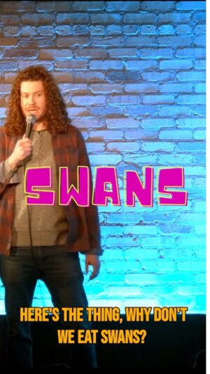 Matty Ryan Instagram - They’ve had it too good for too long… 
.
.
.
#comedy  #standup #reelsinstagram #reels