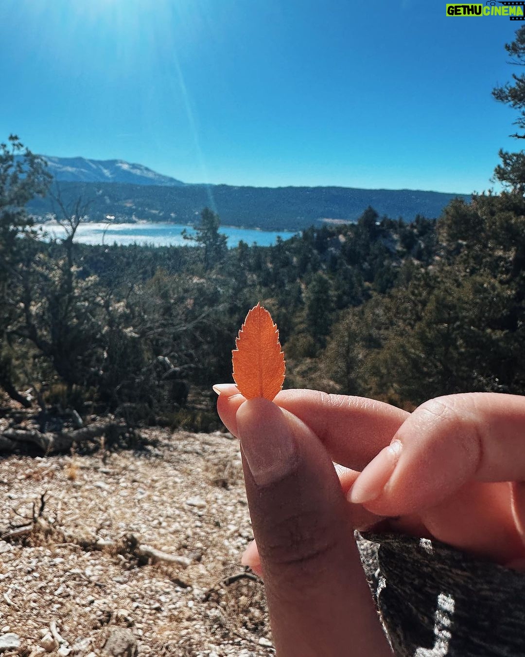 Maudy Ayunda Instagram - The little things. 🍂 trees need hugs too u knw Cougar Crest Hiking Trail, Big Bear Lake