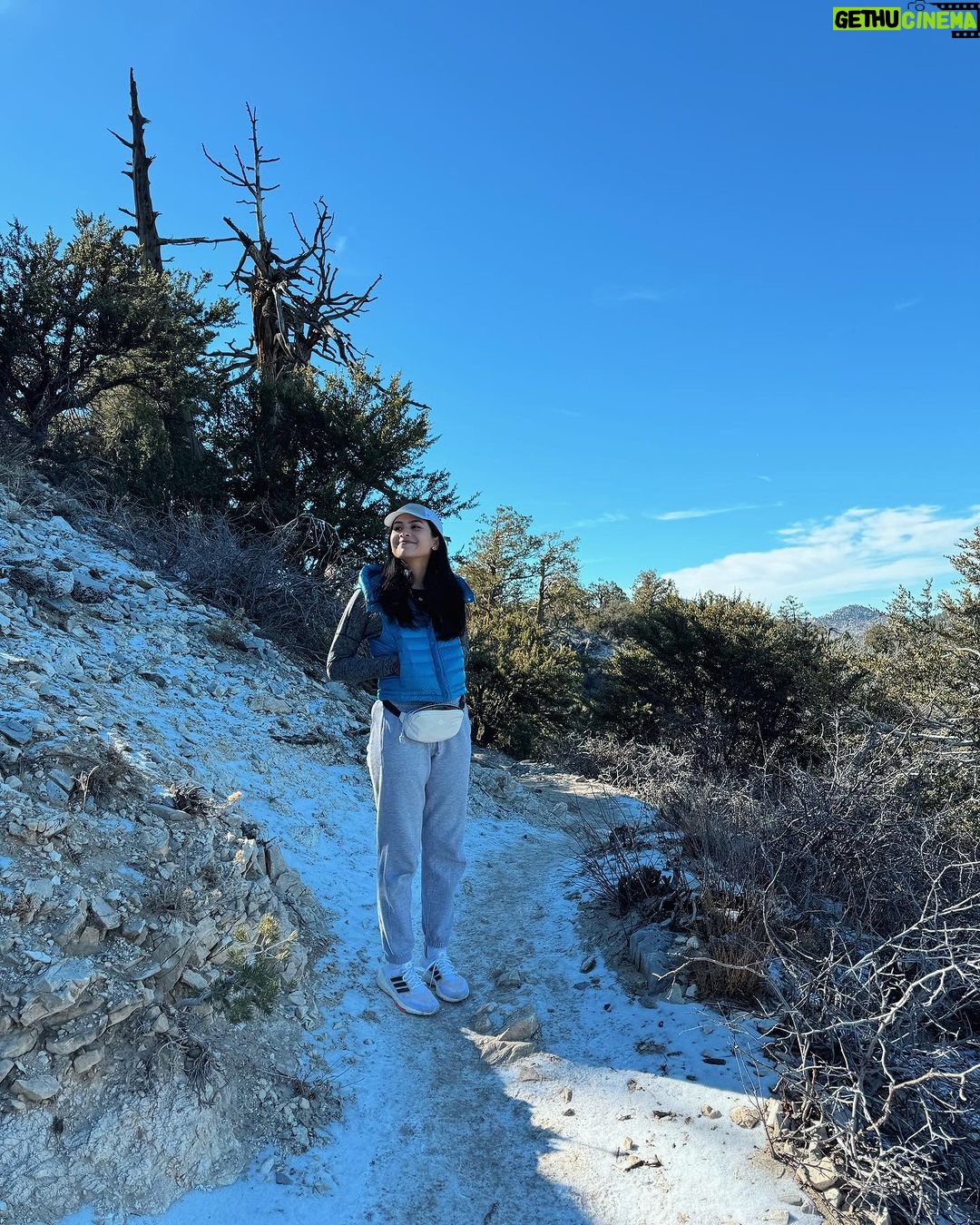 Maudy Ayunda Instagram - The little things. 🍂 trees need hugs too u knw Cougar Crest Hiking Trail, Big Bear Lake