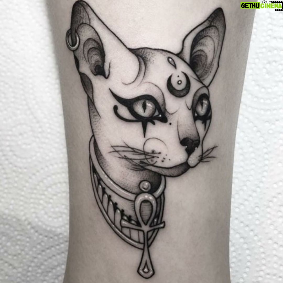 Maurício Branco Instagram - Em Junho , um gato louco poderá aparecer na sua vida #brancogatoshow