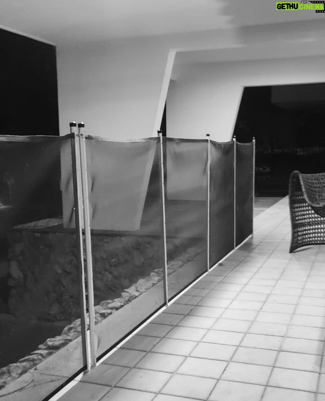 Maurício Branco Instagram - Arquitetura modernista na casa de uma amiga em Brasília . Lago Sul