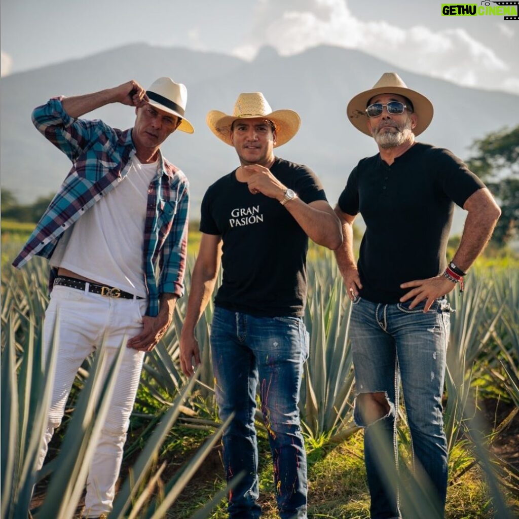 Mauricio Aspe Instagram - @tequilagranpasion “GranPasion La Experiencia De Una Gran Tradición” @wilmer.flores12 @granpasionvictor @coquitohabana @tequilagranpasion #ComingSoon #Tequila #AltosDeJalisco #Guadalajara