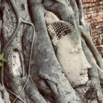 Mauricio T. Valle Instagram –  วัดมหาธาตุ อุทยานประวัติศาสตร์พระนครศรีอยุธยา