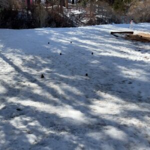 Maurissa Tancharoen Instagram - This post has nothing to do with the horror show of the past week/year/four years. These are just photos of our family playing in the snow.