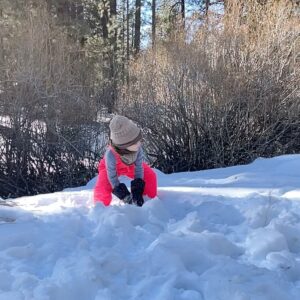 Maurissa Tancharoen Instagram - This post has nothing to do with the horror show of the past week/year/four years. These are just photos of our family playing in the snow.