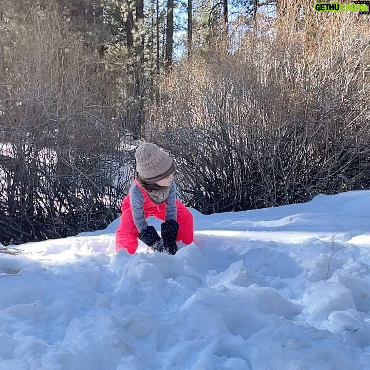 Maurissa Tancharoen Instagram - This post has nothing to do with the horror show of the past week/year/four years. These are just photos of our family playing in the snow.