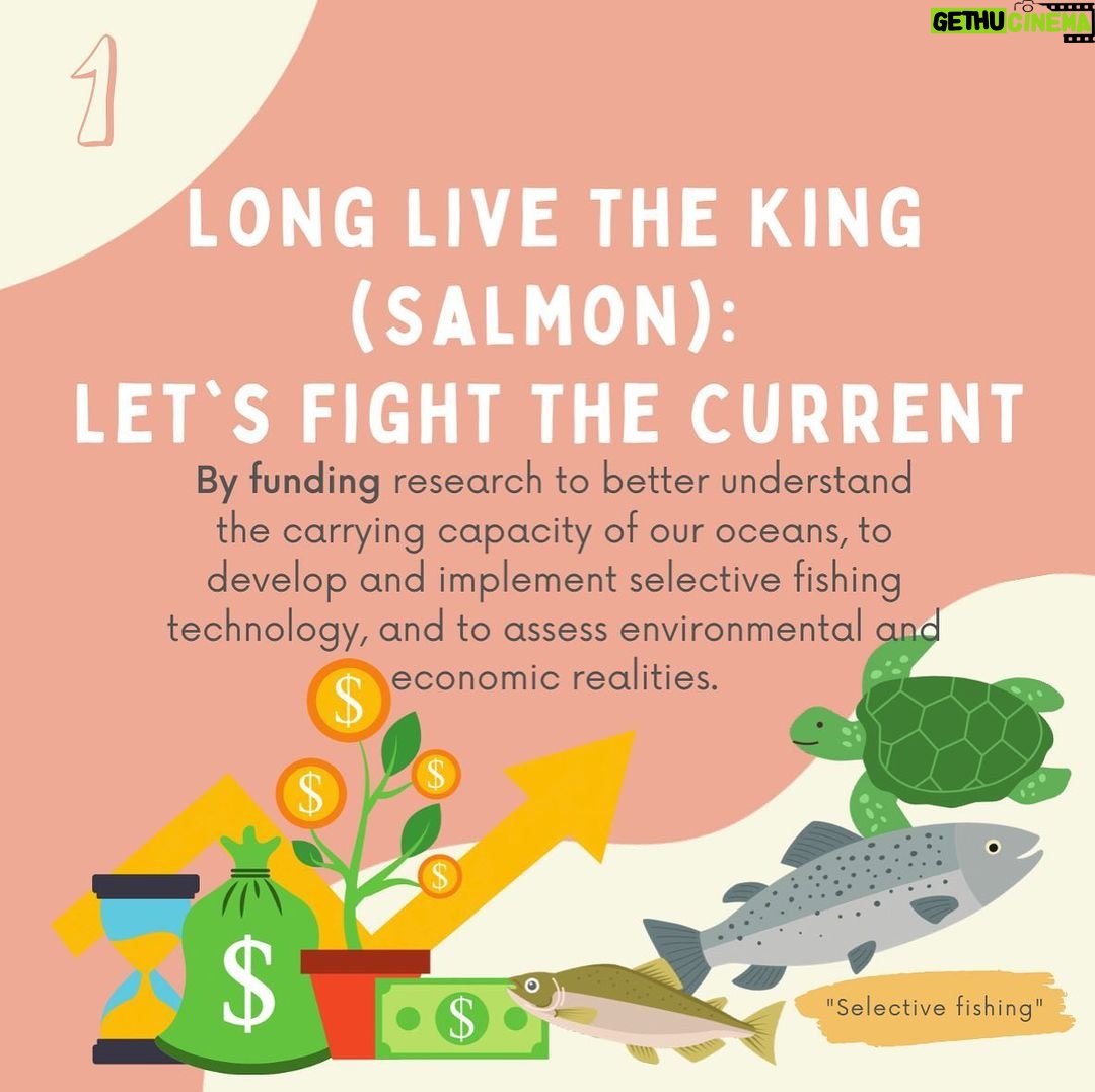 Maxwell Acee Donovan Instagram - Help Fight the Current! Please repost and donate if you can at naturesnegotiators.org (link in bio) It’s now or never! Long live the King (salmon)!! #naturesnegotiators #kingsalmon #salmon #nature
