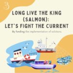 Maxwell Acee Donovan Instagram - Help Fight the Current! Please repost and donate if you can at naturesnegotiators.org (link in bio) It’s now or never! Long live the King (salmon)!! #naturesnegotiators #kingsalmon #salmon #nature