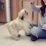 Maya Ali Instagram - Pawsitively cute… 🐾🐾