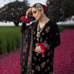 Maya Ali Instagram - RUNG-E-GULAAB - FESTIVE UNSTITCHED Explore them now in-stores and online. @alkaramstudio @sunil_mua @mamoontariq #AlkaramStudio #AlkaramFestiveUnstitched2023 #AlkaramUnstitched #AlkaramWoman #RungegulaabFestiveCollection2023
