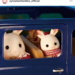 Maya Erskine Instagram - If you don’t know, now you know. Thank you @gabeliedman for finding @sylvanianfamilies_official @pen15show