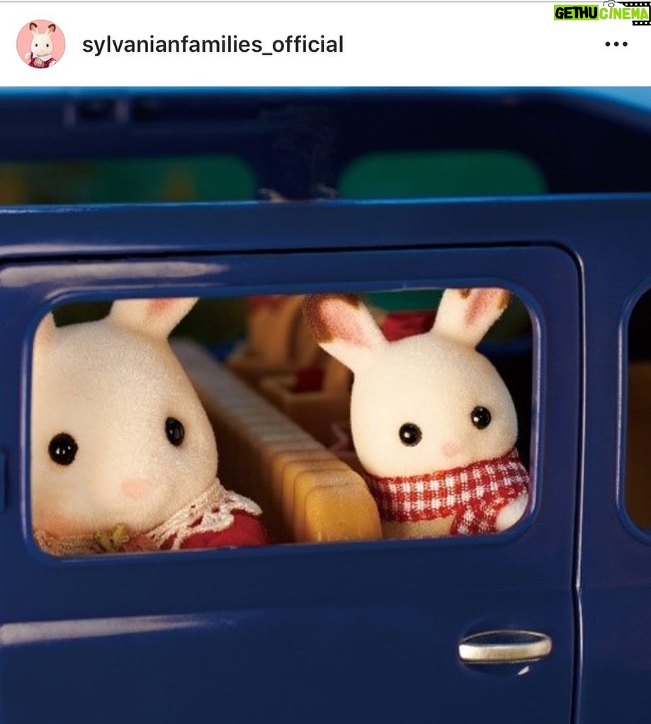 Maya Erskine Instagram - If you don’t know, now you know. Thank you @gabeliedman for finding @sylvanianfamilies_official @pen15show
