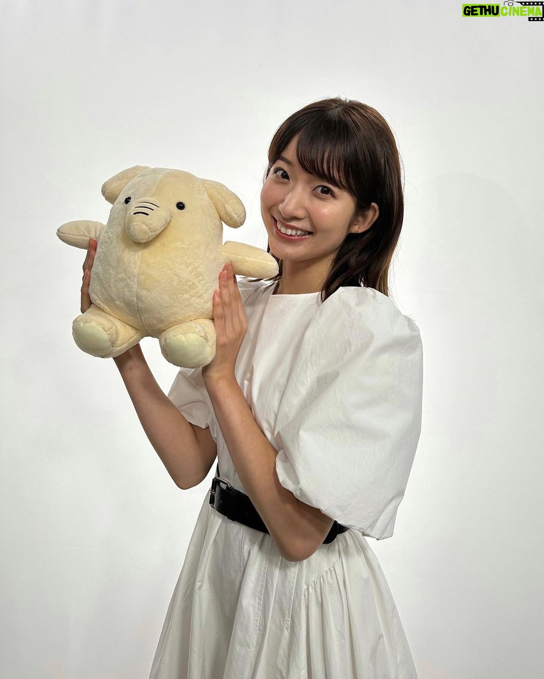 Mayu Sugieda Instagram - ☺︎ JAバンクの出演動画がアップされました! “資産運用の基本”について、解説しています🤝 要点をまとめて、とにかく簡潔にお話ししているので とても分かりやすいムービーに仕上がっています✨ あまり自分には関係ないかも… なんとなく考えたことはあるけど、詳しくない… 今は、高校の授業でも、資産運用にまつわる事柄を学ぶ時代。 知っていて損はない!と思いました😊 YouTubeでは、計4本のムービーが公開中🎬 電車の移動中など 隙間時間にもピッタリの長さなので よかったらご覧下さい🕊 店頭でも流れているみたいなので 見かけたら、ぜひ教えて下さいね!!💞 https://www.jabank.org/tameru/kihon/ #JAバンク #資産運用 #資産形成 #マネ活 #基本 #解説 #店頭 #YouTube #ガイダンス #ムービー #動画 #見てね