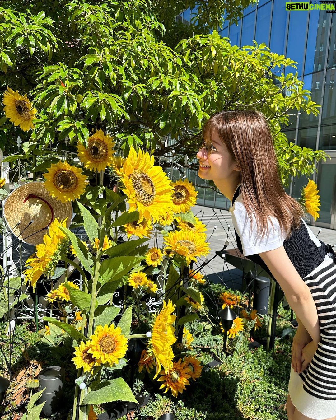 Mayu Sugieda Instagram - ☺︎ 大好きな向日葵🌻 風車の装飾も可愛い空間でした🫶 移動中に通りかかった道で、たまたまの出会い! 素敵だったので、撮ってもらったよー☺️ やっぱり黄色って可愛い!元気出ます💛💛💛 最近、どんな時でも(撮影の時も薄めかも。笑) お肌は日焼け止めを中心にメイクしがち🫢 この日もそうですが、基本打ち合わせならスッピン… 日焼け止めしか塗らない時がほとんどなのですが🍀 それでも綺麗なお肌で外に出られているのは @une_fleur_eyebrow のおかげ💆♀️Thank you💐 眉は @une_fleur_yurika さん! 普段のメイクが楽になり過ぎるの… 素敵に仕上げて下さいます✨ そして、お肌は @une_fleur_natsune さん! 今回、初めてお世話になったのですが 施術も丁寧で、瞬間から肌が綺麗になったと実感できて すごく嬉しかった。またすぐお世話になりたい。笑 皆さんも一緒にお肌整え頑張ろうね🥹🥹🤝 #向日葵 #風車 #眉 #お肌 #撮影