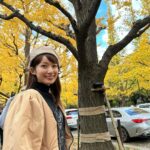 Mayu Sugieda Instagram - ☺︎ a line of ginkgo trees! 外苑前の近くに立ち寄ったので いちょう並木を眺めに行ってきました💛 最近のお昼間は、それほど寒くもなく👏 お日様ぽかぽか気持ちよく過ごせて嬉しいです☺️ ・ 【出演情報のお知らせです📢】 毎週土曜 深夜1:58〜放送 ytv「すもももももも！ピーチCAFE」 今夜〜年明けのオンエア、毎週出演します！！ @ytv_peachcafe 🍑 なんと今回は… #川田裕美 さん に代わって 番組店長としての出演となりますので いつもと違った私で登場しているかもしれません🤭 ぜひとも観てくださいねー！お楽しみに✨✨ #ytv #ピーチCAFE #店長 #OA #今夜 #外苑前 #外苑前いちょう並木 #銀杏並木 #お散歩 #いちょう並木 #日本 #Japan