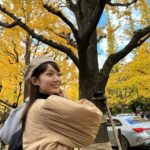 Mayu Sugieda Instagram - ☺︎ a line of ginkgo trees! 外苑前の近くに立ち寄ったので いちょう並木を眺めに行ってきました💛 最近のお昼間は、それほど寒くもなく👏 お日様ぽかぽか気持ちよく過ごせて嬉しいです☺️ ・ 【出演情報のお知らせです📢】 毎週土曜 深夜1:58〜放送 ytv「すもももももも！ピーチCAFE」 今夜〜年明けのオンエア、毎週出演します！！ @ytv_peachcafe 🍑 なんと今回は… #川田裕美 さん に代わって 番組店長としての出演となりますので いつもと違った私で登場しているかもしれません🤭 ぜひとも観てくださいねー！お楽しみに✨✨ #ytv #ピーチCAFE #店長 #OA #今夜 #外苑前 #外苑前いちょう並木 #銀杏並木 #お散歩 #いちょう並木 #日本 #Japan