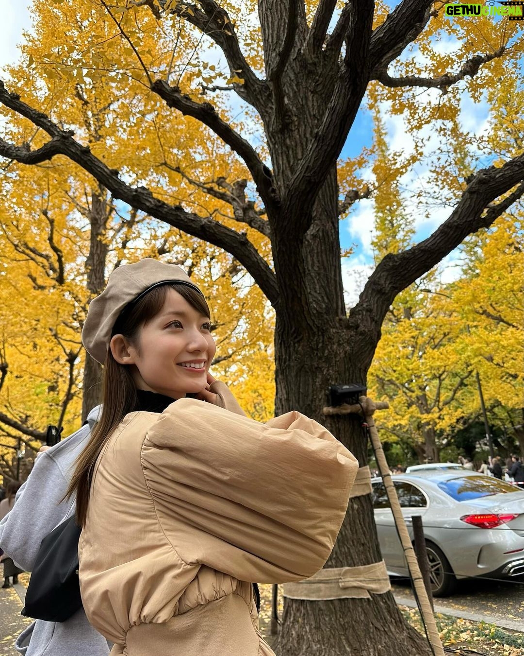 Mayu Sugieda Instagram - ☺︎ a line of ginkgo trees! 外苑前の近くに立ち寄ったので いちょう並木を眺めに行ってきました💛 最近のお昼間は、それほど寒くもなく👏 お日様ぽかぽか気持ちよく過ごせて嬉しいです☺️ ・ 【出演情報のお知らせです📢】 毎週土曜 深夜1:58〜放送 ytv「すもももももも!ピーチCAFE」 今夜〜年明けのオンエア、毎週出演します!! @ytv_peachcafe 🍑 なんと今回は… #川田裕美 さん に代わって 番組店長としての出演となりますので いつもと違った私で登場しているかもしれません🤭 ぜひとも観てくださいねー!お楽しみに✨✨ #ytv #ピーチCAFE #店長 #OA #今夜 #外苑前 #外苑前いちょう並木 #銀杏並木 #お散歩 #いちょう並木 #日本 #Japan
