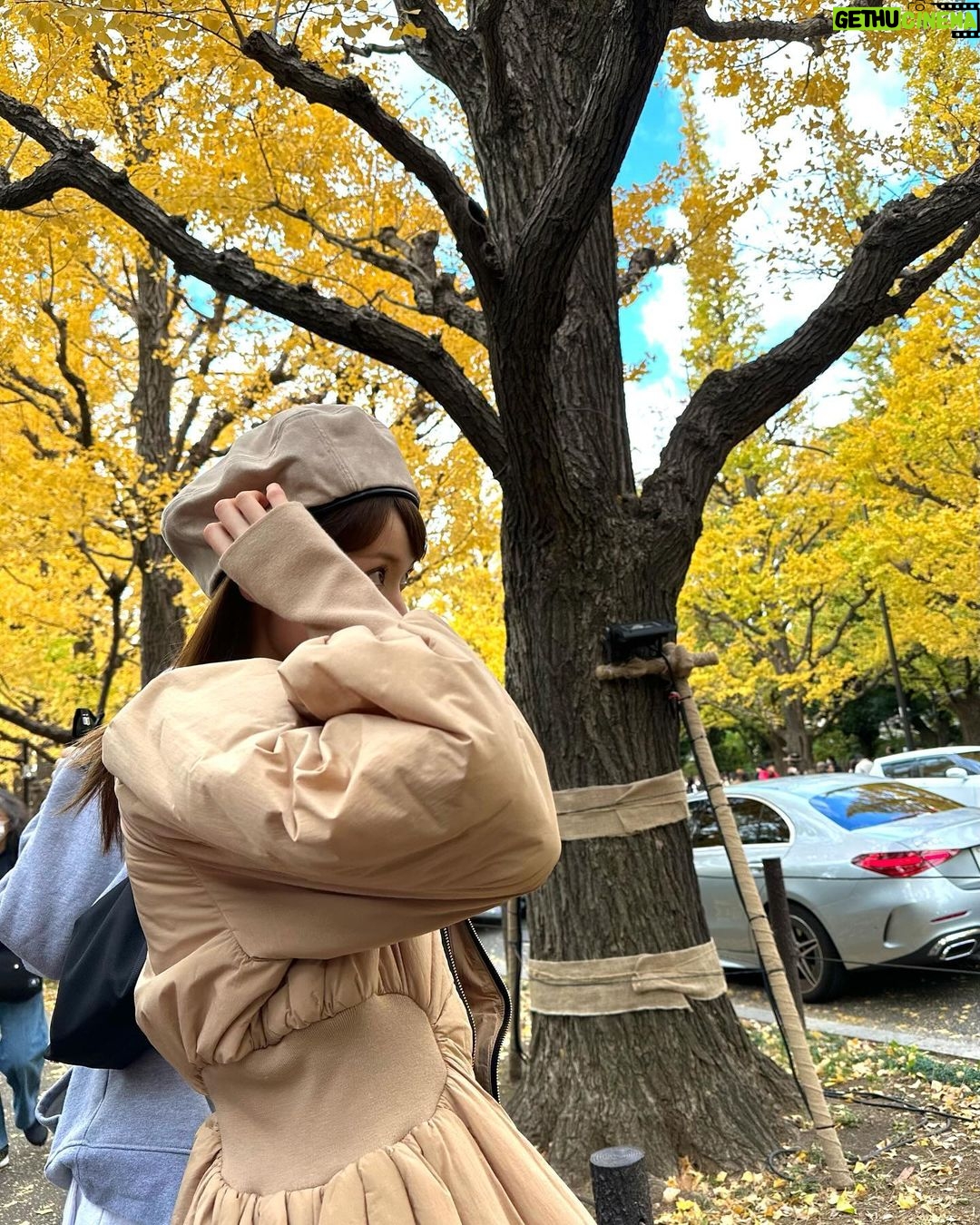 Mayu Sugieda Instagram - ☺︎ a line of ginkgo trees! 外苑前の近くに立ち寄ったので いちょう並木を眺めに行ってきました💛 最近のお昼間は、それほど寒くもなく👏 お日様ぽかぽか気持ちよく過ごせて嬉しいです☺️ ・ 【出演情報のお知らせです📢】 毎週土曜 深夜1:58〜放送 ytv「すもももももも!ピーチCAFE」 今夜〜年明けのオンエア、毎週出演します!! @ytv_peachcafe 🍑 なんと今回は… #川田裕美 さん に代わって 番組店長としての出演となりますので いつもと違った私で登場しているかもしれません🤭 ぜひとも観てくださいねー!お楽しみに✨✨ #ytv #ピーチCAFE #店長 #OA #今夜 #外苑前 #外苑前いちょう並木 #銀杏並木 #お散歩 #いちょう並木 #日本 #Japan