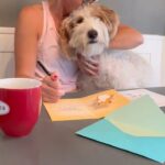 Meaghan B. Murphy Instagram – Wait a doggone minute, Dempsey! 🐶 I’m trying to write ✍️ a thank you note. 🤣

#funny #dogmom #dogmomlife #dogsofinstagram #labradoodle #yay #dogoftheday #creampufflabradoodles