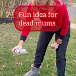 Meaghan B. Murphy Instagram - Dead mums make me sad, so I upcycled mine. Yay or nay?! #diy #holidaydecor #holidayseason #holidaydecorating #christmascrafts #christmascraft Santa's Next Stop