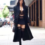 Megan Fox Instagram - Guys I had a business meeting today. I made sure to wear something subtle and professional