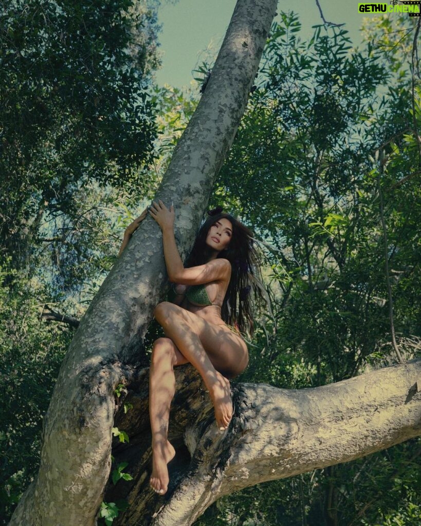Megan Fox Instagram - the forest is my oldest friend