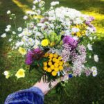 Megan Park Instagram - Picked you some wildflowers ❤️🇨🇦❤️