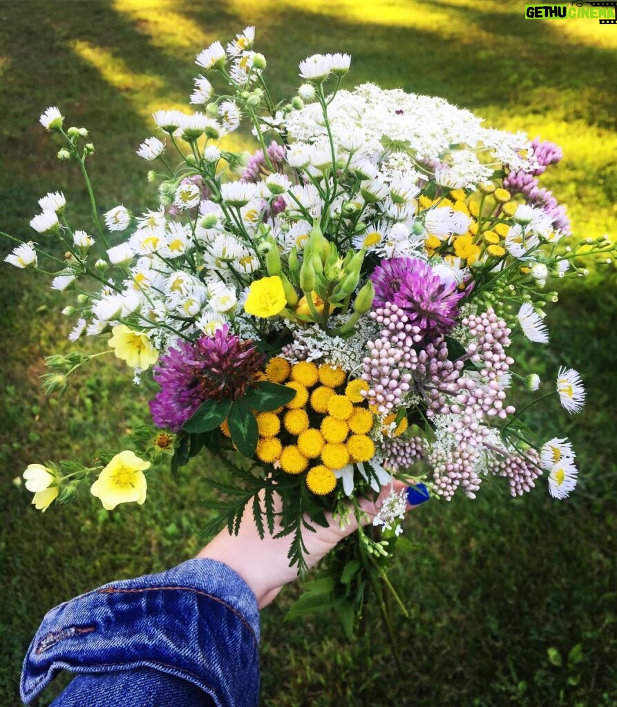 Megan Park Instagram - Picked you some wildflowers ❤️🇨🇦❤️