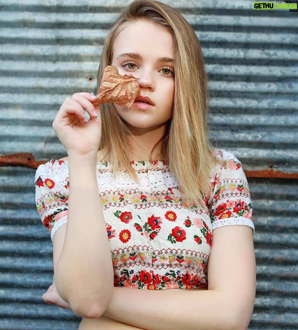 Megan Stott - 5.6K Likes - 🍂Meet me under the falling leaves🍂