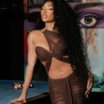 Megan Thee Stallion Instagram - My valentines/birthday gift to myself 🤎💍