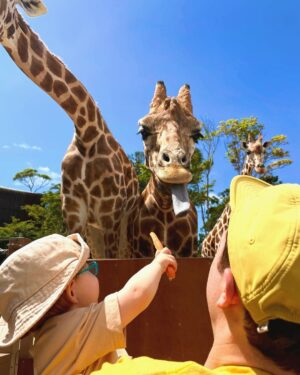 Meghan Trainor Instagram - Best day ever at the @tarongazoo 🥹🦘💖