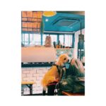 Megumi Han Instagram - 🌊🍹🌴🌊🏄🌊🌴🍹🌊 ふとしたときに 自分の事を思い浮かべて 現場に呼んで下さるの 本当に有難いなぁ。 お世話になっている方に 久しぶりにお会いした現場。 素敵な先輩ばかり。 まだまだ若手で居させてもらえる だけど肩を並ばせてもらえる そんな有難い現場でした。 __________ このカフェは フォロワーの方々も来店して下さる事が多いんだ。 近場から、遠方から、わざわざ訪ねては いつもメンションしてくれるの。 ありがとうね。 全部、届いてるよ。 ここのところ、私はテイクアウトが多かったのだけれど 今日は、久々に店内でゆっくり。 人もわんちゃんも 良い気の集まる場所。 __________ ここ来ると、Shazam起動しがち。 プレイリスト入りは、必須。 Byron Bay Coffee Company Japan