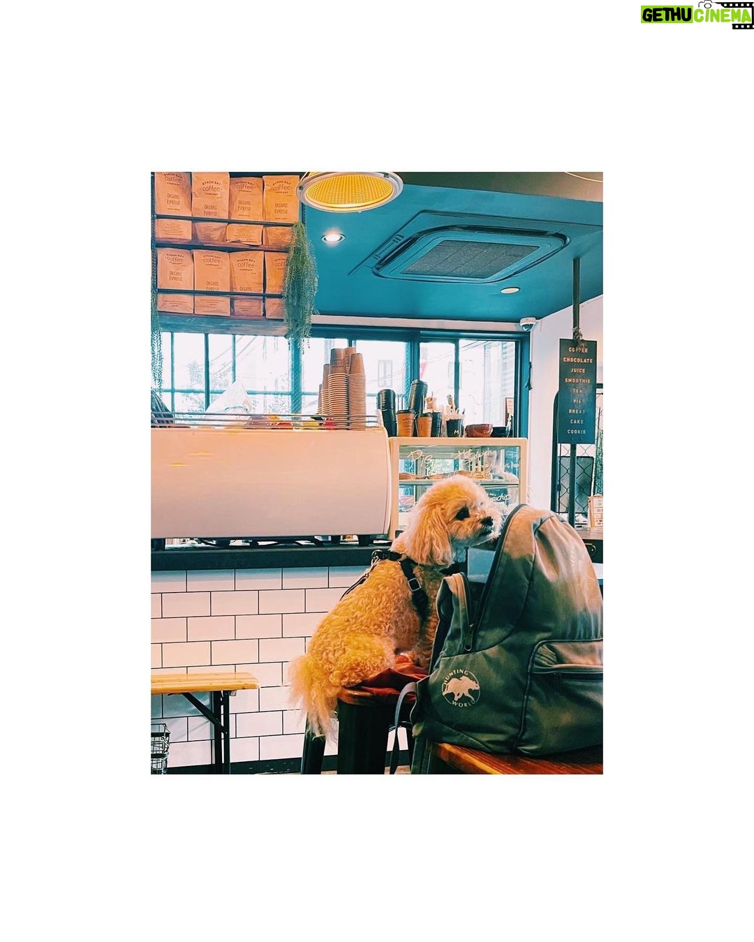 Megumi Han Instagram - ๐๐น๐ด๐๐๐๐ด๐น๐ ใตใจใใใจใใซ ่ชๅใฎไบใๆใๆตฎใในใฆ ็พๅ ดใซๅผใใงไธใใใฎ ๆฌๅฝใซๆ้ฃใใชใใ ใไธ่ฉฑใซใชใฃใฆใใๆนใซ ไน
ใใถใใซใไผใใใ็พๅ ดใ ็ด ๆตใชๅ
่ผฉใฐใใใ ใพใ ใพใ ่ฅๆใงๅฑ
ใใใฆใใใใ ใ ใใฉ่ฉใไธฆใฐใใฆใใใใ ใใใชๆ้ฃใ็พๅ ดใงใใใ __________ ใใฎใซใใงใฏ ใใฉใญใฏใผใฎๆนใ
ใๆฅๅบใใฆไธใใไบใๅคใใใ ใ ่ฟๅ ดใใใ้ ๆนใใใใใใใ่จชใญใฆใฏ ใใคใใกใณใทใงใณใใฆใใใใฎใ ใใใใจใใญใ ๅ
จ้จใๅฑใใฆใใใ ใใใฎใจใใใ็งใฏใใคใฏใขใฆใใๅคใใฃใใฎใ ใใใฉ ไปๆฅใฏใไน
ใ
ใซๅบๅ
ใงใใฃใใใ ไบบใใใใกใใใ ่ฏใๆฐใฎ้ใพใๅ ดๆใ __________ ใใๆฅใใจใShazam่ตทๅใใใกใ ใใฌใคใชในใๅ
ฅใใฏใๅฟ
้ ใ Byron Bay Coffee Company Japan