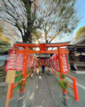 Megumi Han Instagram - 母 と ゆ く 幸 先 詣

新たな年を迎えましたね。

今年も宜しくお願い致します。

我が家は、ここ数年、幸先詣です。

去年のうちに御礼参りを兼ねて。