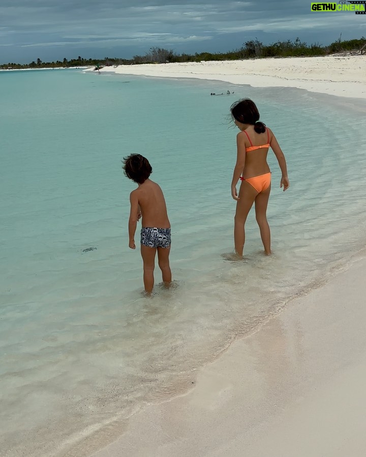 Melani Olivares Instagram - …después de 4 días aquí, por fin salió el sol, no nos importó no tenerlo, porque hicimos como si estuviera… Cuba nos está enamorando , es un paraíso, pero lo mejor es su gente y todo lo que estamos compartiendo con ello@s. Hemos salido desde playa paraíso a playa sirena andando y hemos visto estrellas de mar , cangrejos gigantes , pajarillos y peces de colores… un sueño de vacaciones .. @neoxing @hugo_delross @mohamadfawzigonzalez @rafavillanuevabaena @memoriescayolargo