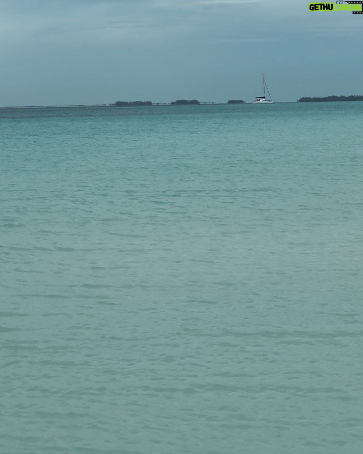 Melani Olivares - 30.2K Likes - ā¦despuĆ©s de 4 dĆas aquĆ, por fin salió el sol, no nos importó no tenerlo, porque hicimos como si estuvieraā¦
Cuba nos estĆ” enamorando , es un paraĆso, pero lo mejor es su gente y todo lo que estamos compartiendo con ello@s.
Hemos salido desde playa paraĆso a playa sirena andando y hemos visto estrellas de mar , cangrejos gigantes , pajarillos y peces de colores⦠un sueƱo de vacaciones ..
@neoxing
@hugo_delross
@mohamadfawzigonzalez
@rafavillanuevabaena
@memoriescayolargo