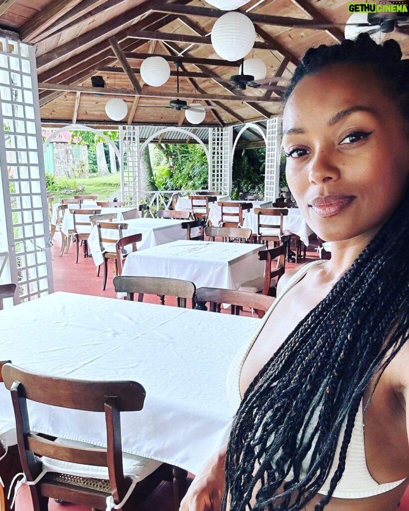 Melanie Liburd Instagram - Like a hot spring bubbling up Moving through upwards powerfully constant clean and clear waters driving it all again stagnant for while never stopping An unclogged spring Crystal clear running flowing Powerfully rapid Not knowing exactly but knowing Shifting Always moving Hermitage Nevis