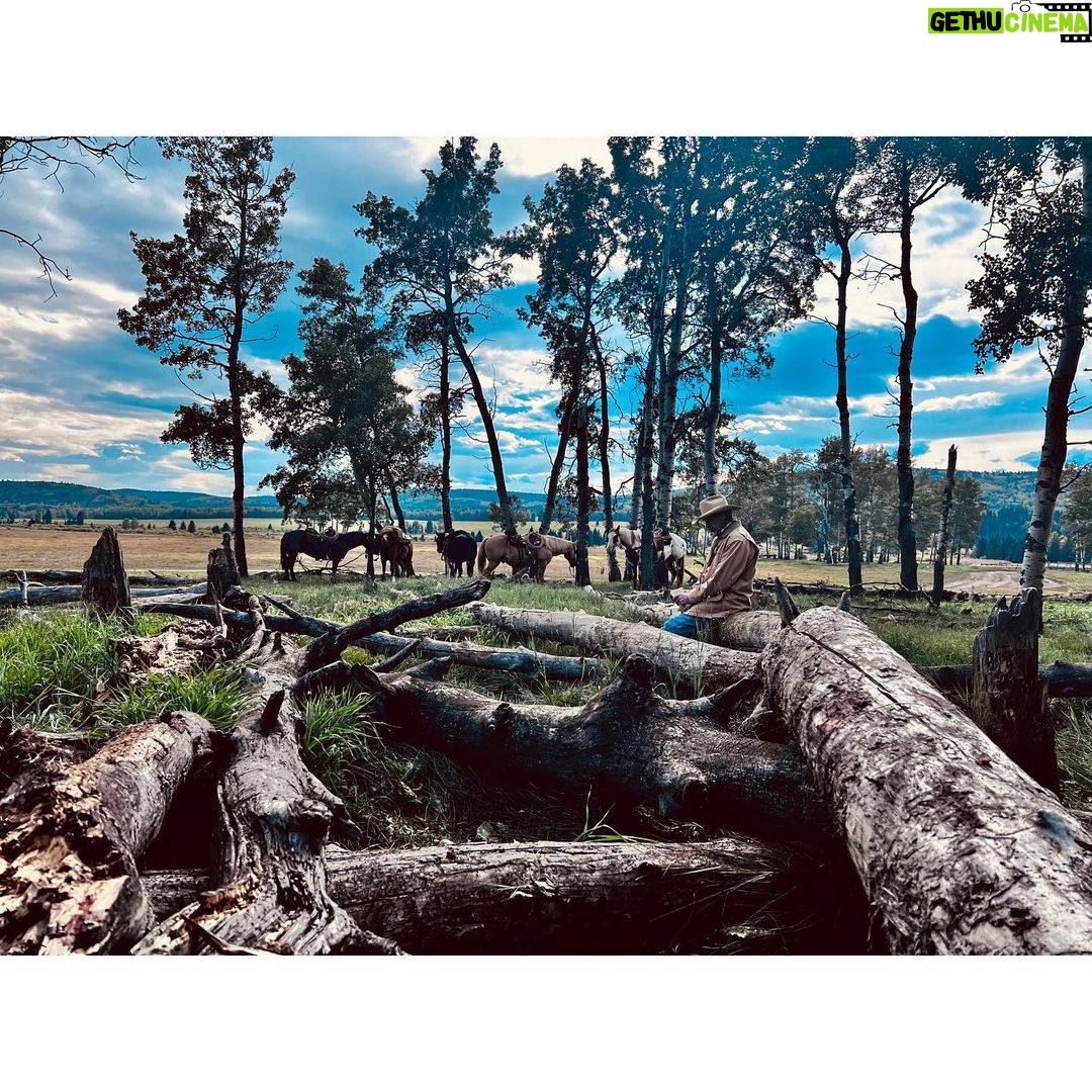 Melanie Scrofano Instagram - I directed tonight’s episode of #Heartland and I couldn’t have done it without the support of (in no particular order): -the cast and crew who taught me how amazing horses are and that THE HORSES are the boss, not you -my twat socks (thank you #earpers♥️) -that one horse who kept knocking me over so I would pet him…you have my heart forever -my twat socks -the incredible Alberta landscape -the one time @amber_marshall_farm brought her mini horse to mess with us -side-eye from sassy horse -my toy animals that stood in as horses and helped me with blocking. -pipe cleaners Watch @official_heartlandoncbc tonight at 7pm EST. @seven24films