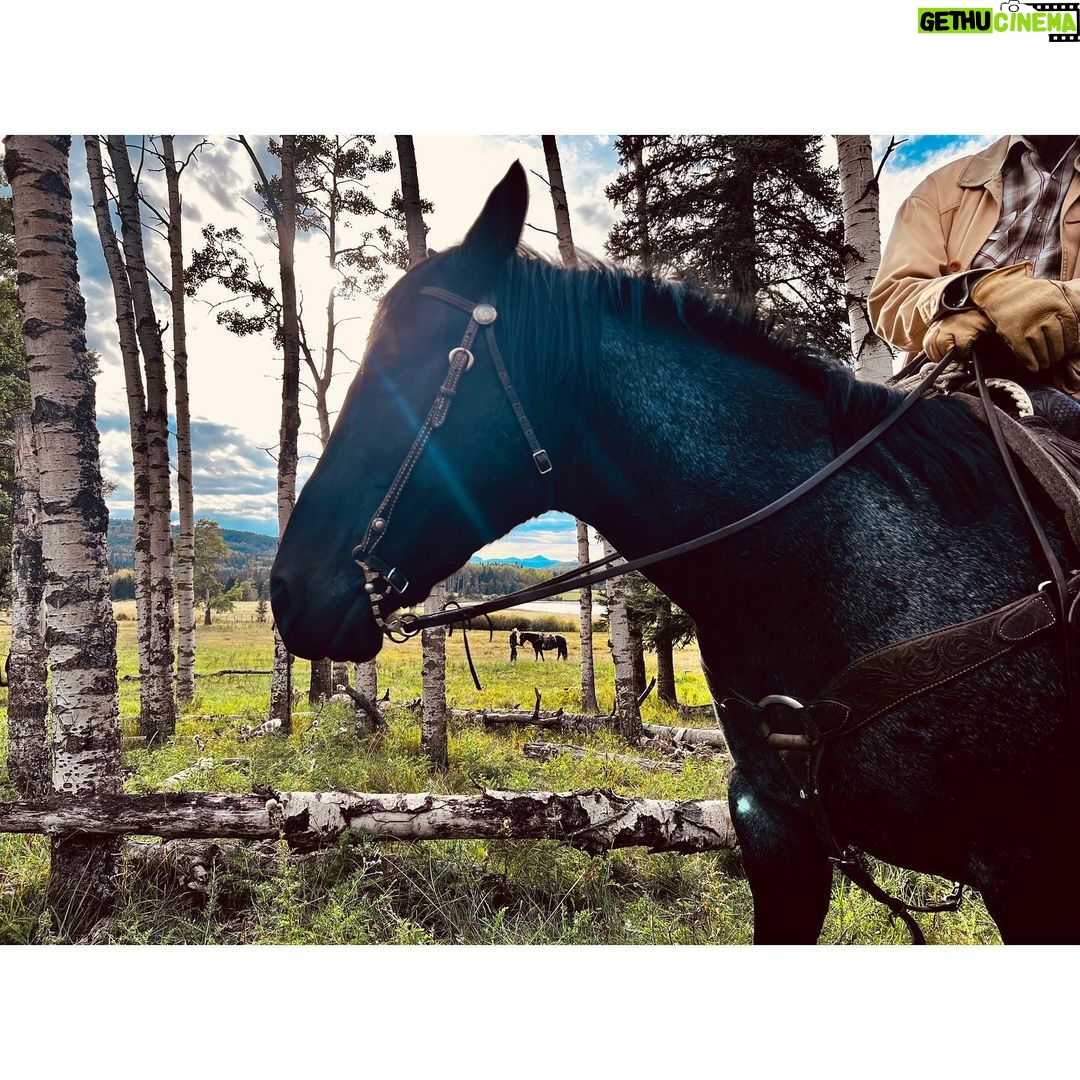 Melanie Scrofano Instagram - I directed tonight’s episode of #Heartland and I couldn’t have done it without the support of (in no particular order): -the cast and crew who taught me how amazing horses are and that THE HORSES are the boss, not you -my twat socks (thank you #earpers♥️) -that one horse who kept knocking me over so I would pet him…you have my heart forever -my twat socks -the incredible Alberta landscape -the one time @amber_marshall_farm brought her mini horse to mess with us -side-eye from sassy horse -my toy animals that stood in as horses and helped me with blocking. -pipe cleaners Watch @official_heartlandoncbc tonight at 7pm EST. @seven24films