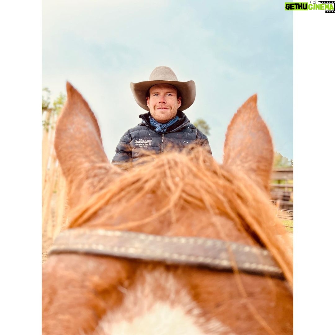 Melanie Scrofano Instagram - I directed tonight’s episode of #Heartland and I couldn’t have done it without the support of (in no particular order): -the cast and crew who taught me how amazing horses are and that THE HORSES are the boss, not you -my twat socks (thank you #earpers♥️) -that one horse who kept knocking me over so I would pet him…you have my heart forever -my twat socks -the incredible Alberta landscape -the one time @amber_marshall_farm brought her mini horse to mess with us -side-eye from sassy horse -my toy animals that stood in as horses and helped me with blocking. -pipe cleaners Watch @official_heartlandoncbc tonight at 7pm EST. @seven24films