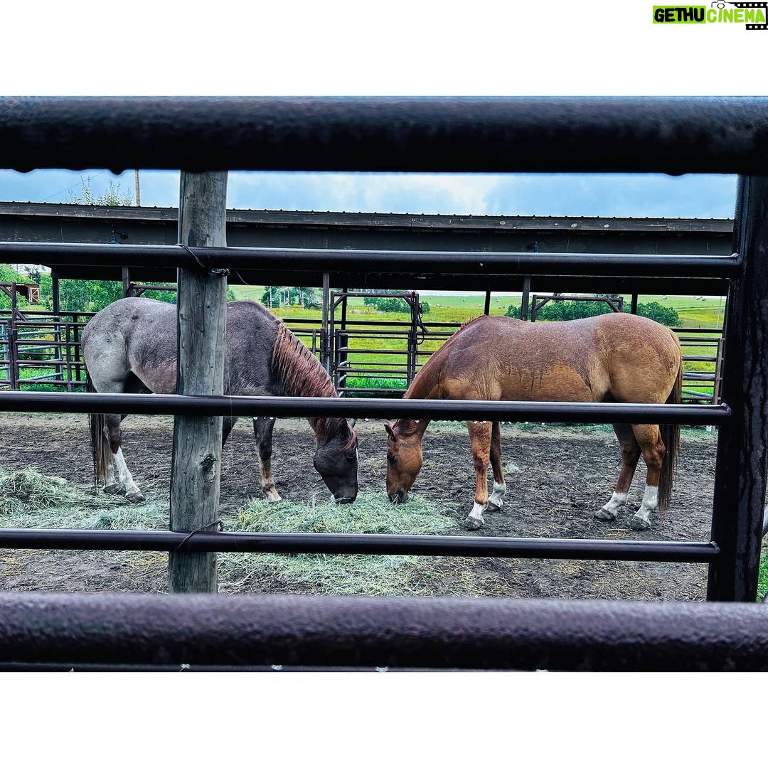 Melanie Scrofano Instagram - I directed tonight’s episode of #Heartland and I couldn’t have done it without the support of (in no particular order): -the cast and crew who taught me how amazing horses are and that THE HORSES are the boss, not you -my twat socks (thank you #earpers♥️) -that one horse who kept knocking me over so I would pet him…you have my heart forever -my twat socks -the incredible Alberta landscape -the one time @amber_marshall_farm brought her mini horse to mess with us -side-eye from sassy horse -my toy animals that stood in as horses and helped me with blocking. -pipe cleaners Watch @official_heartlandoncbc tonight at 7pm EST. @seven24films