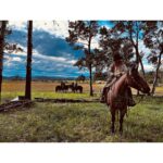 Melanie Scrofano Instagram - “Make it Look Like a @markmaggiori Painting,” I said. And everyone knew what I meant. Even the horses. What an incredible time on @official_heartlandoncbc. #iloveheartland
