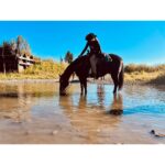 Melanie Scrofano Instagram - “Make it Look Like a @markmaggiori Painting,” I said. And everyone knew what I meant. Even the horses. What an incredible time on @official_heartlandoncbc. #iloveheartland